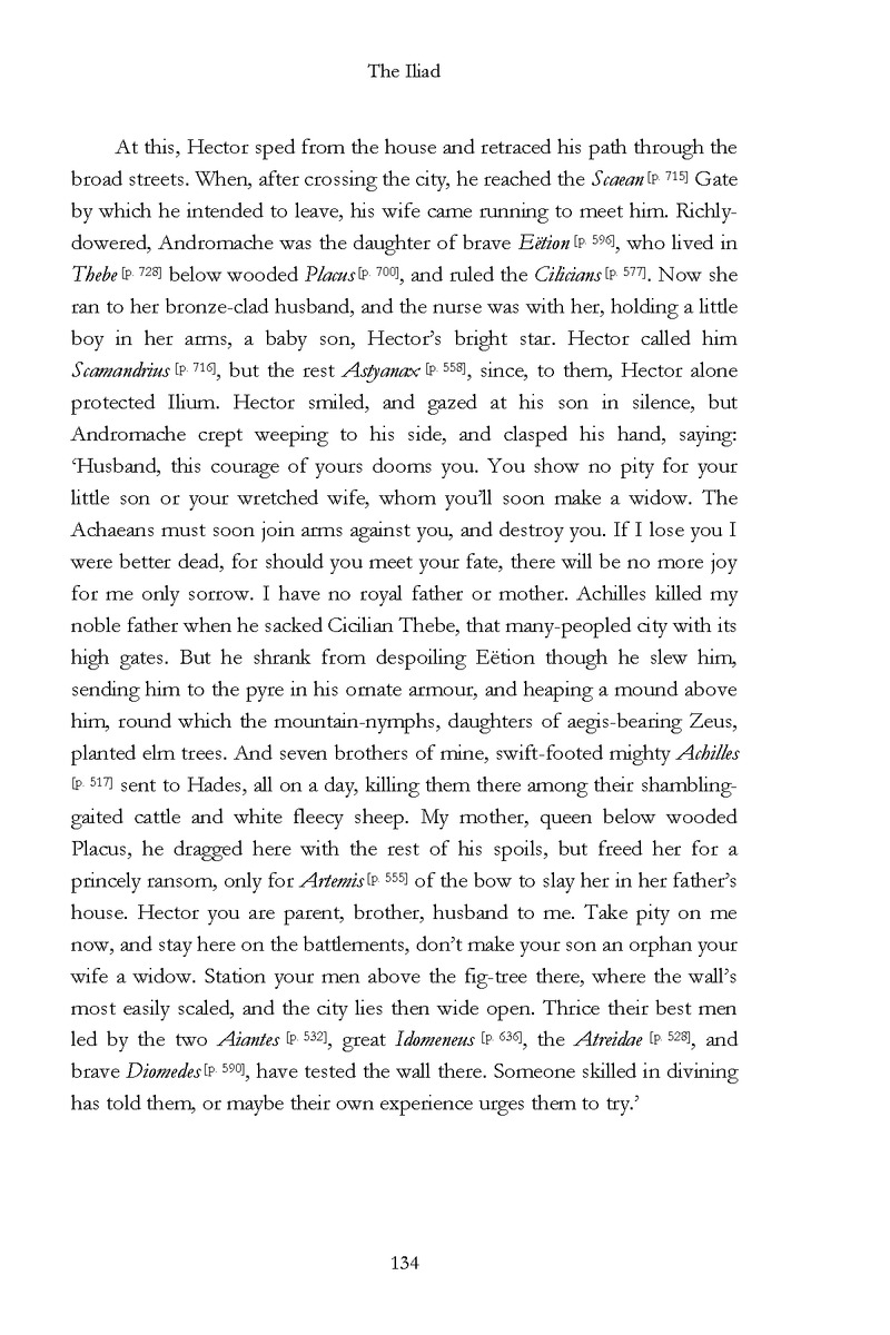 The Iliad - Page 128